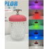 Web Celebrity Portable Crystal Pinecone Desk Lamp